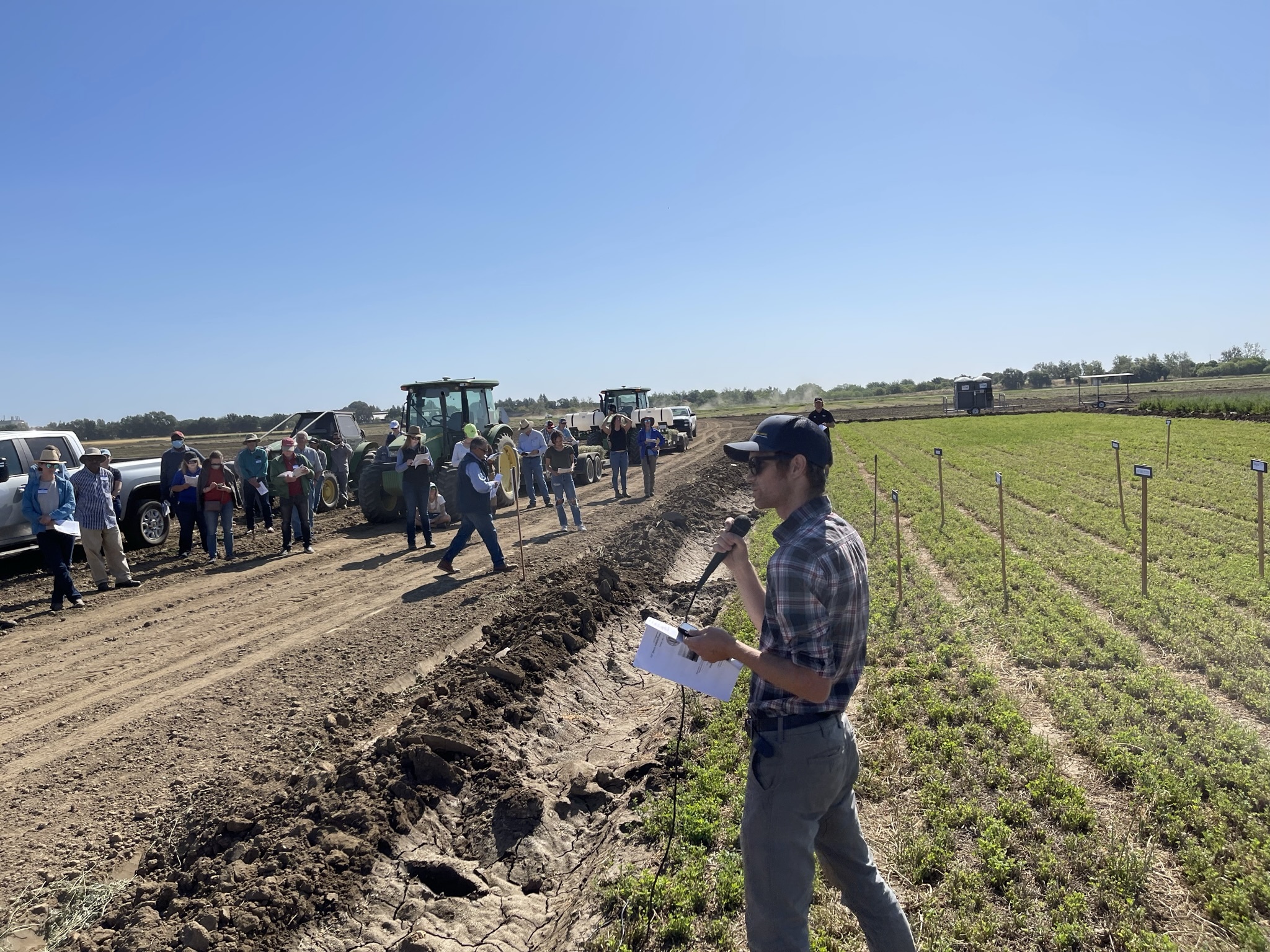 Presenter speaking in front of alfalfa plots
