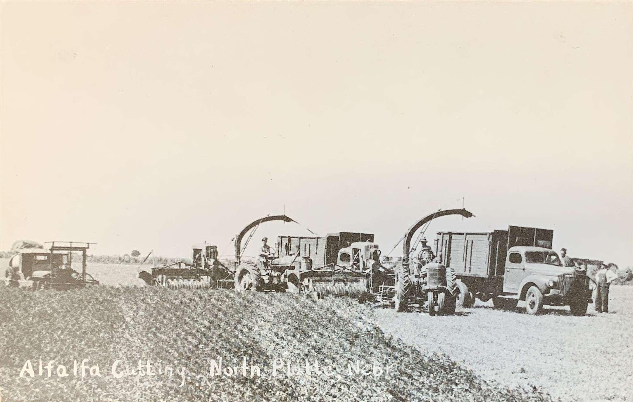 Alfalfa Cutting North Platte, Neb