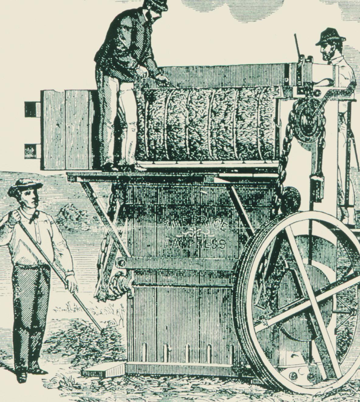 Alfalfa Diagram