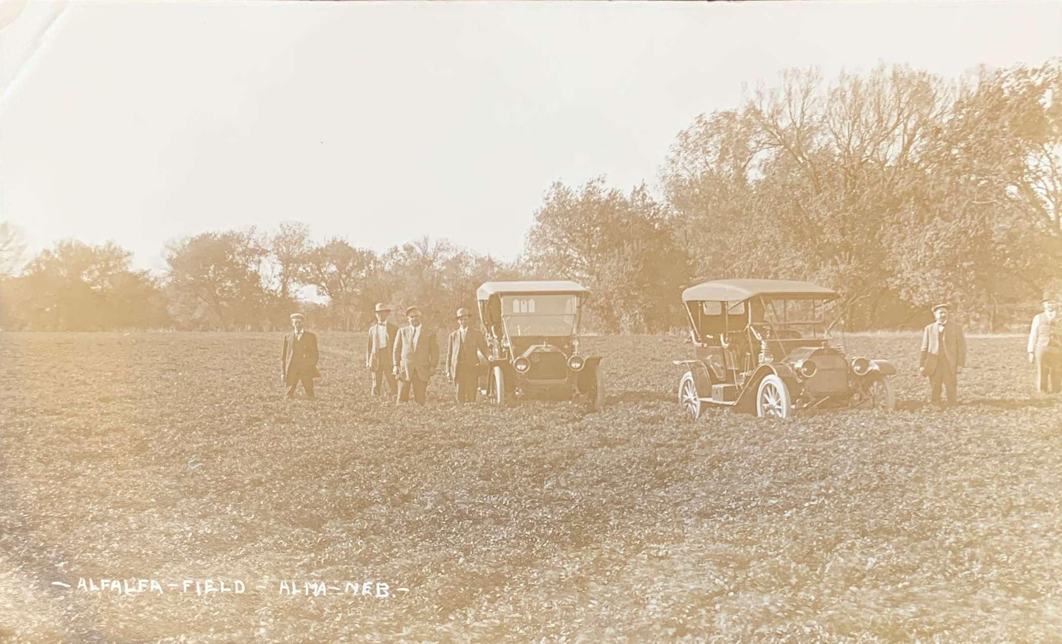 Alfalfa Field Alma, Neb