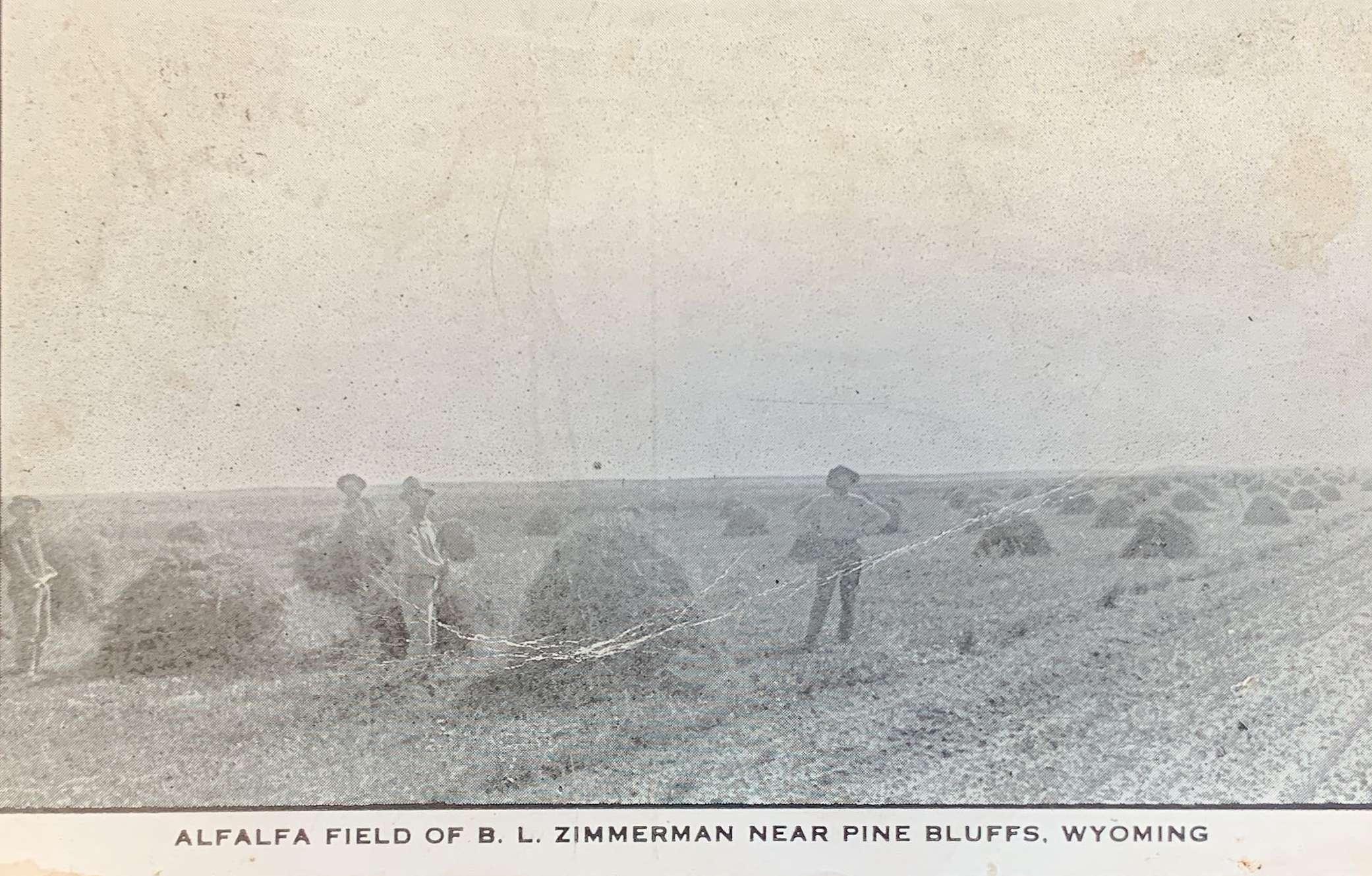 Alfalfa Field of B.L. Zimmerman Near Pine Bluffs Wyoming
