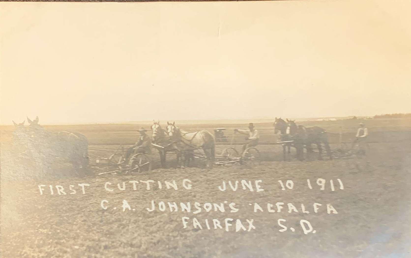 First Cutting Fairfax S.D.