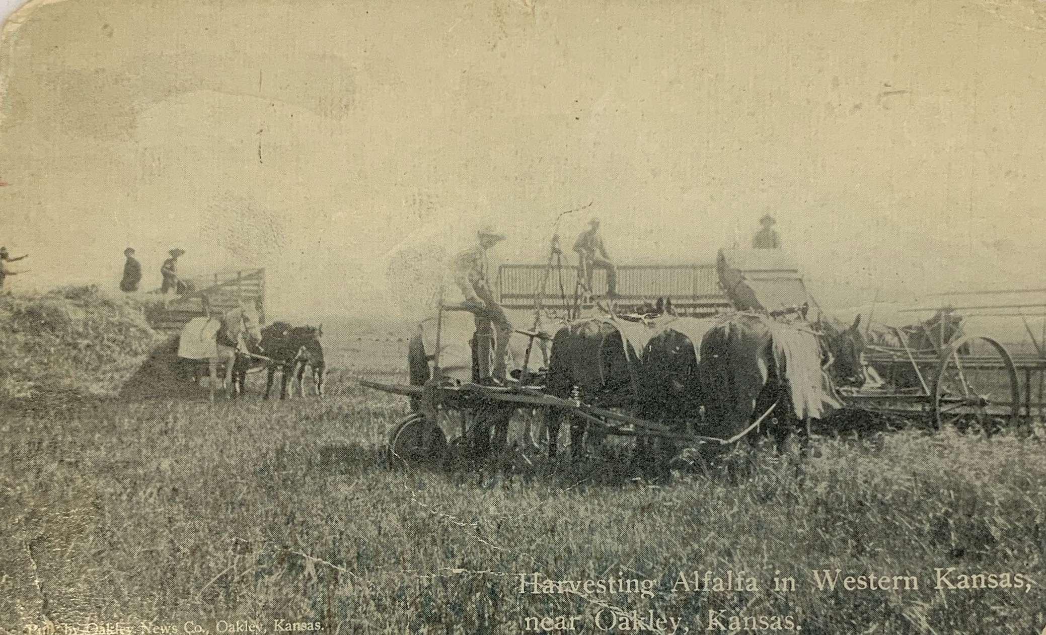Harvesting Alfalfa in Western Kansas near Oakley