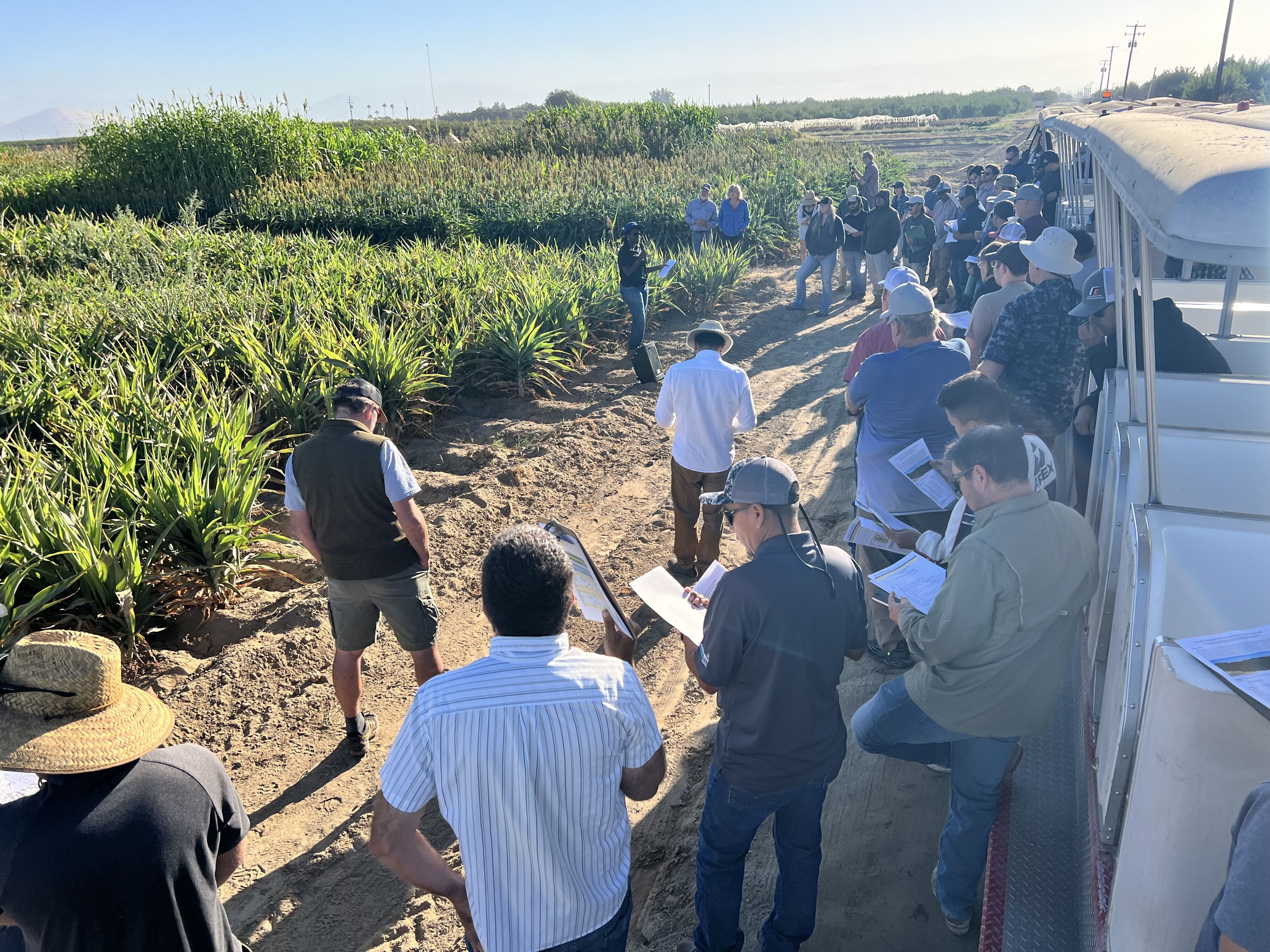 Audience members read handouts while listening to alfalfa field day presentation