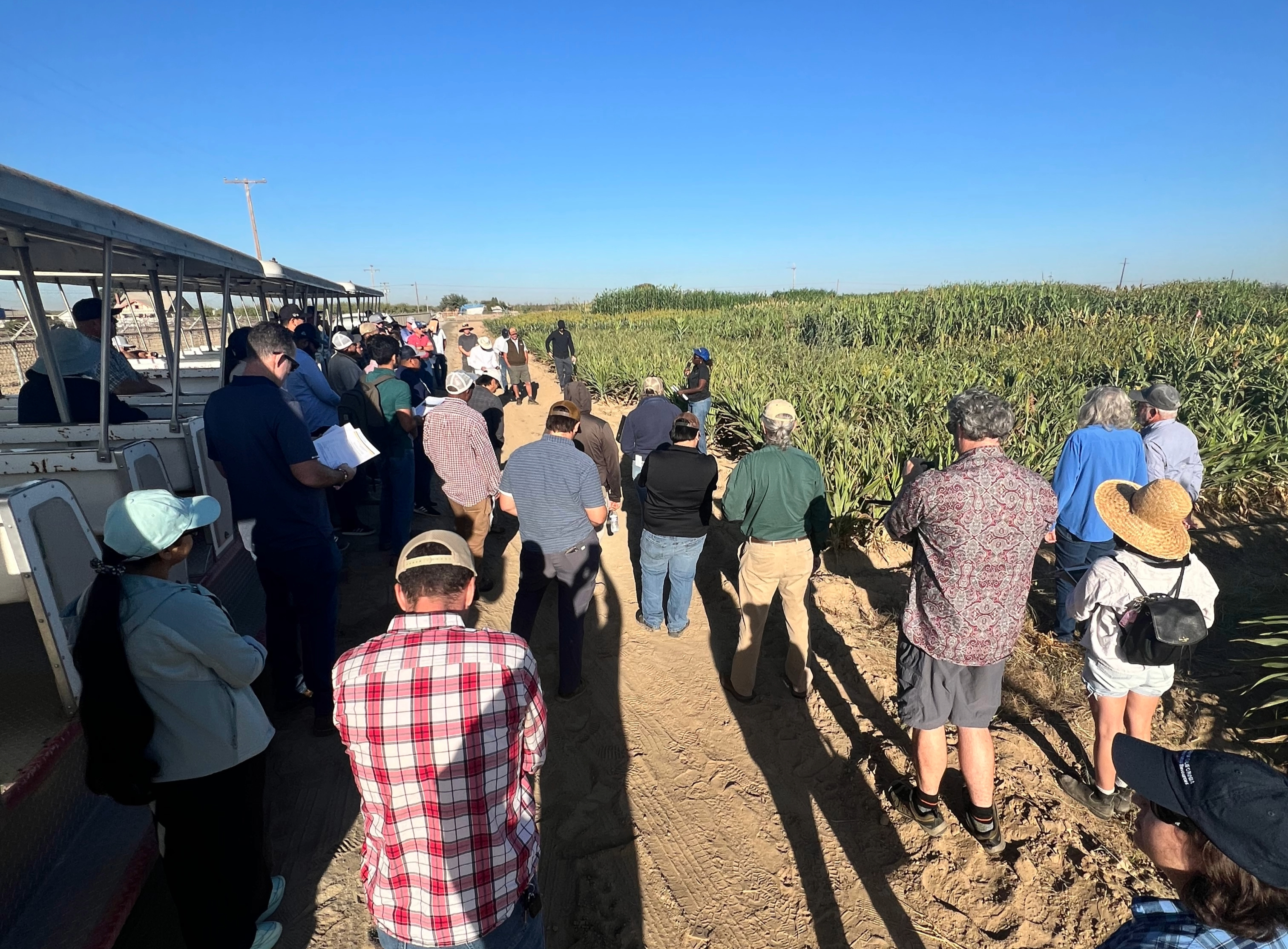 Field day attendees listen attentively to speaker