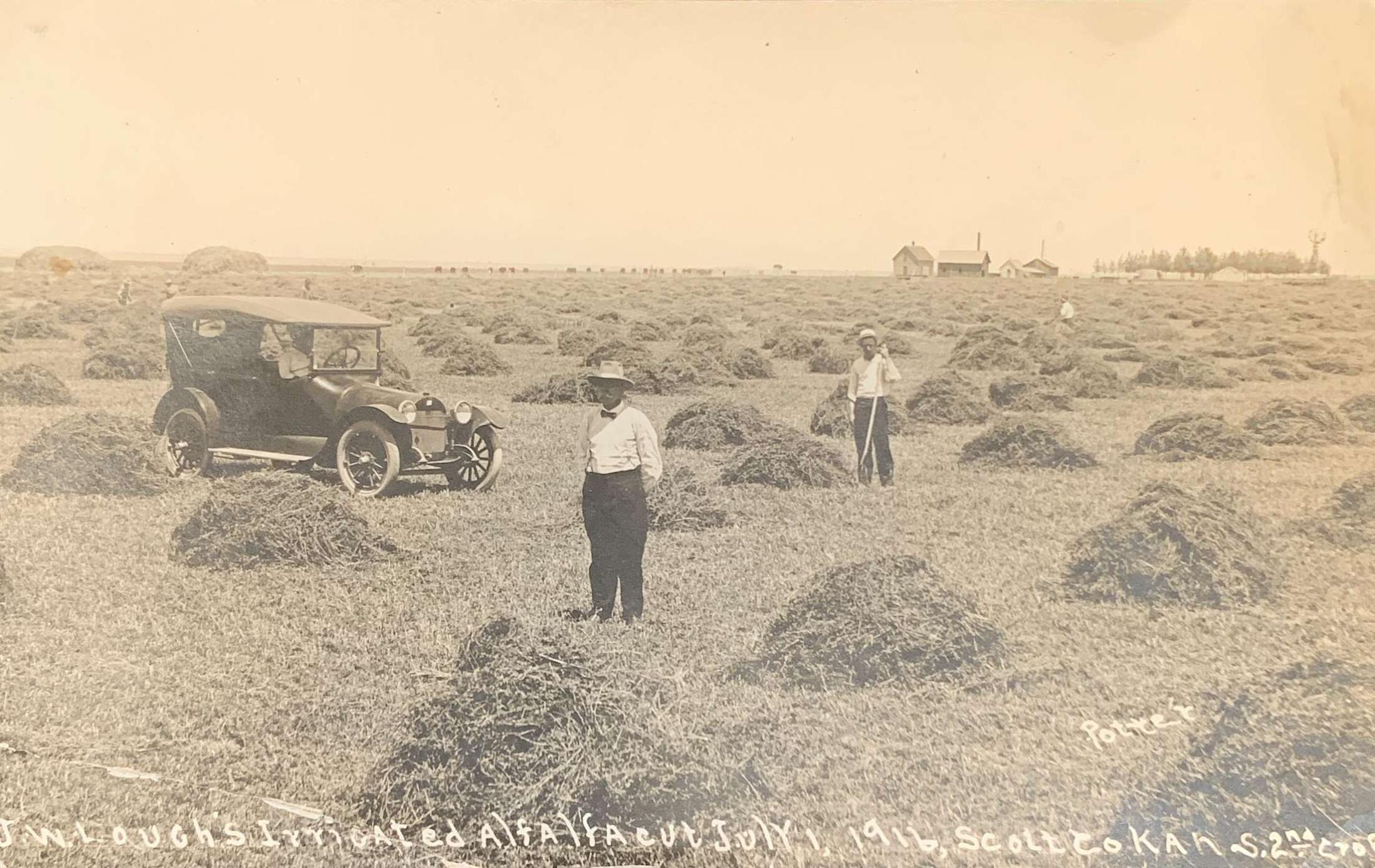 Scott County Kan Alfalfa