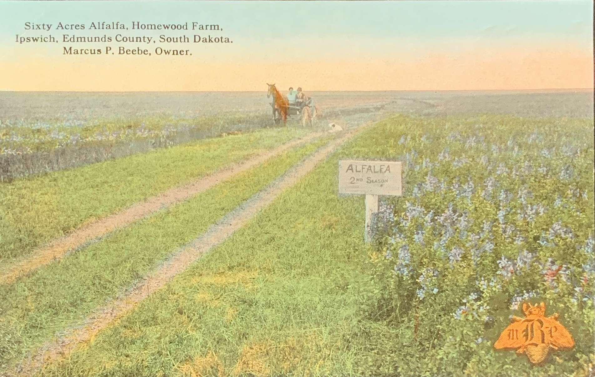Sixty Acres Alfalfa Edmunds County South Dakota