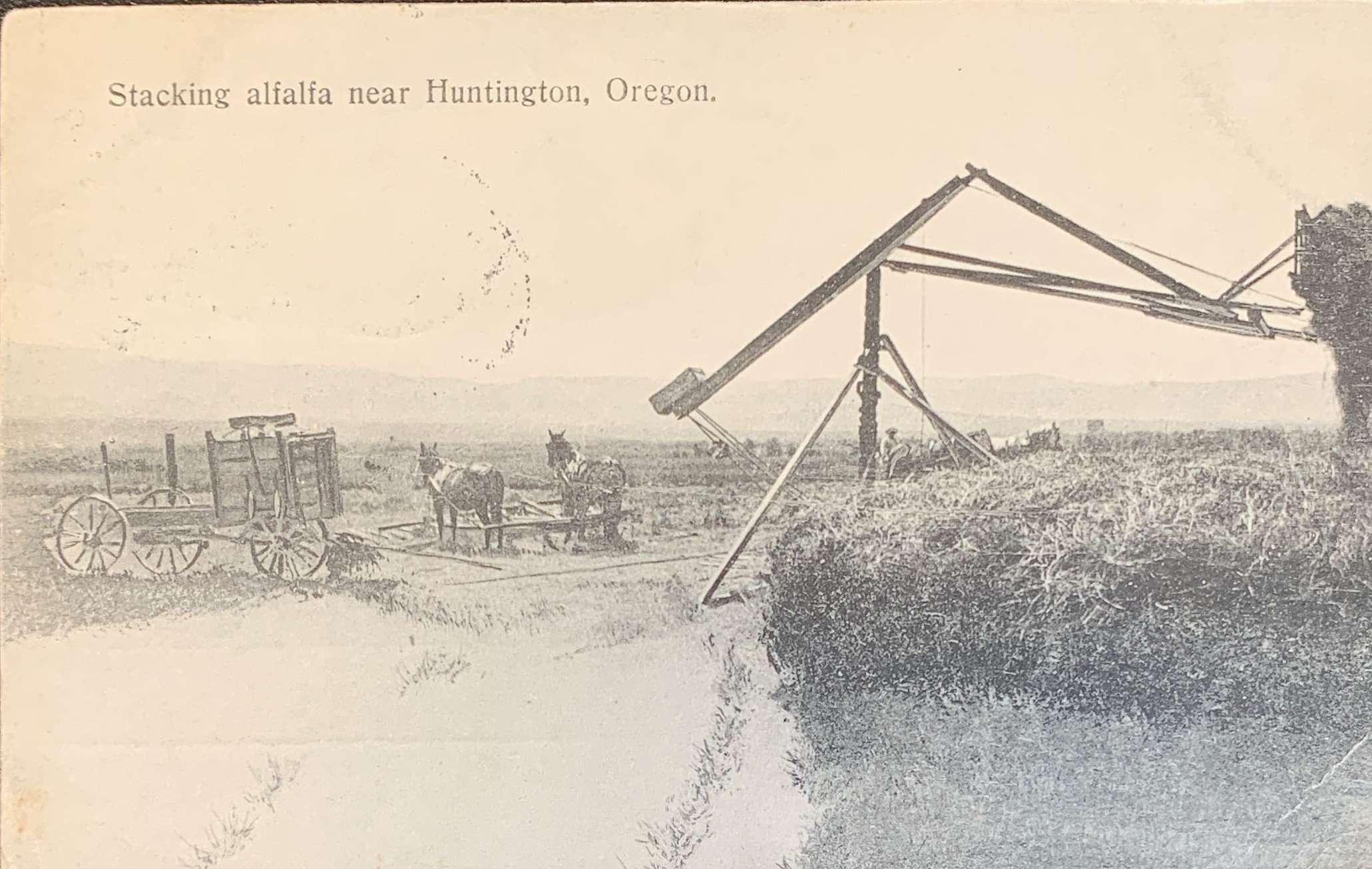 Stacking Alfalfa near Huntington, Oregon