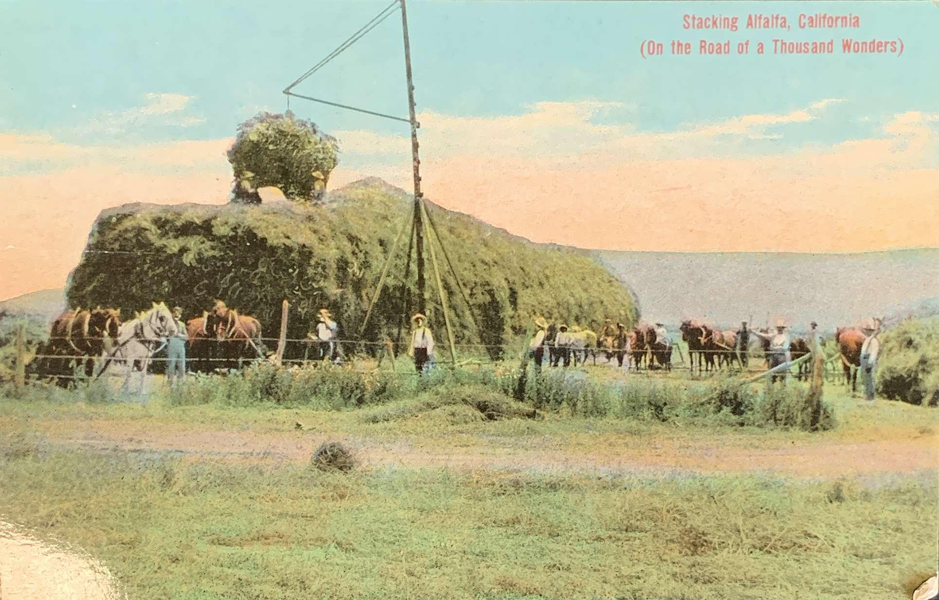 Stacking Alfalfa, California (On the Road of a Thousand Wonders)