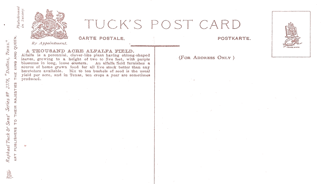 Thousand Acre Alfalfa Field Postcard