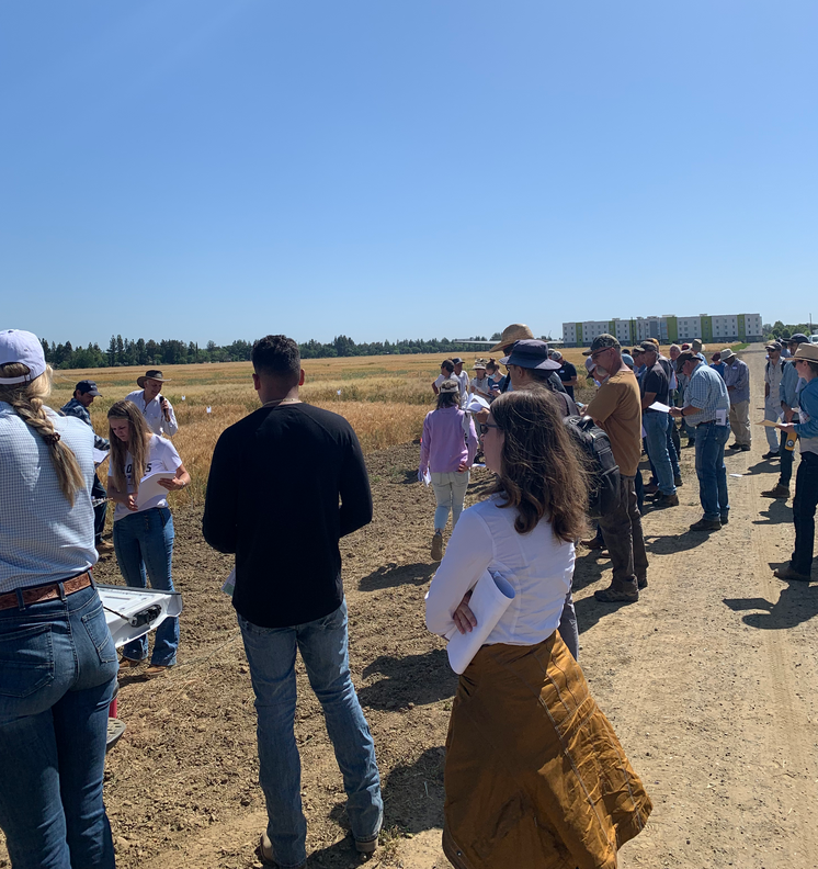 audience members watching small grains presentations