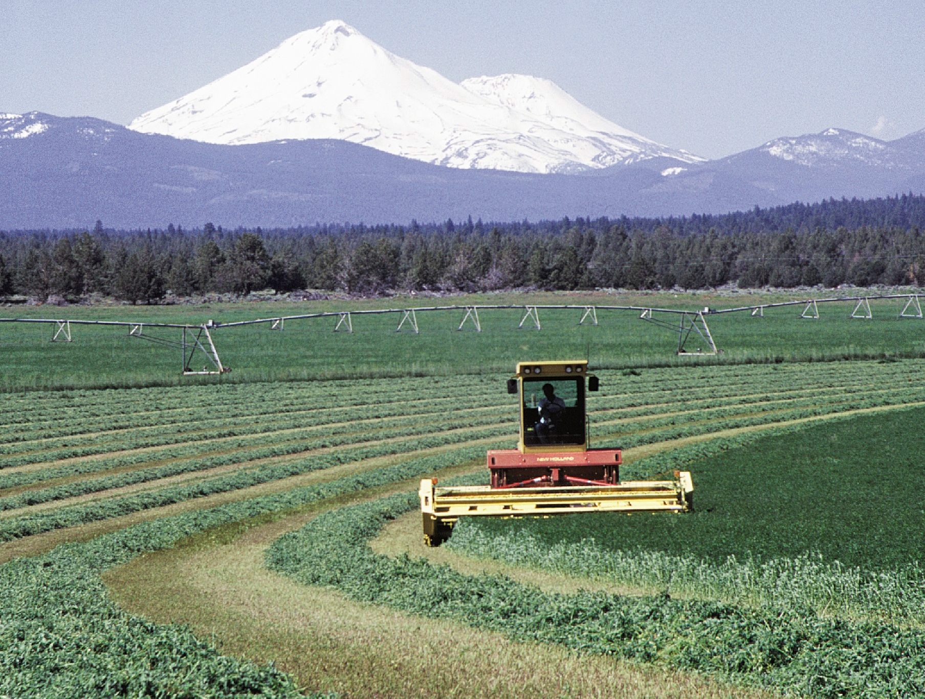Tractor harvesting alfalfa with snowy peak