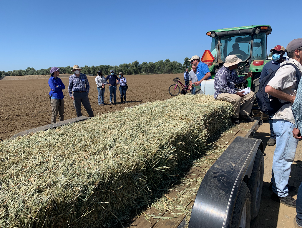 hay wagon