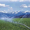irrigation image