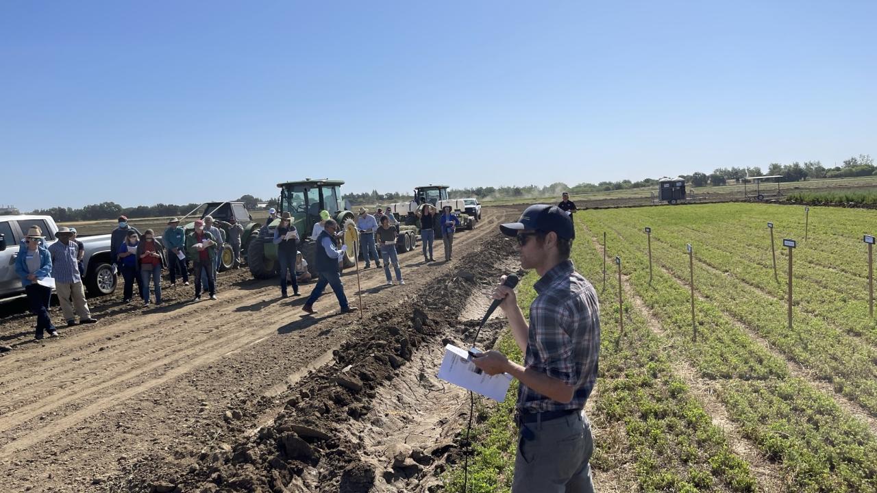 Presenter speaking in front of alfalfa plots