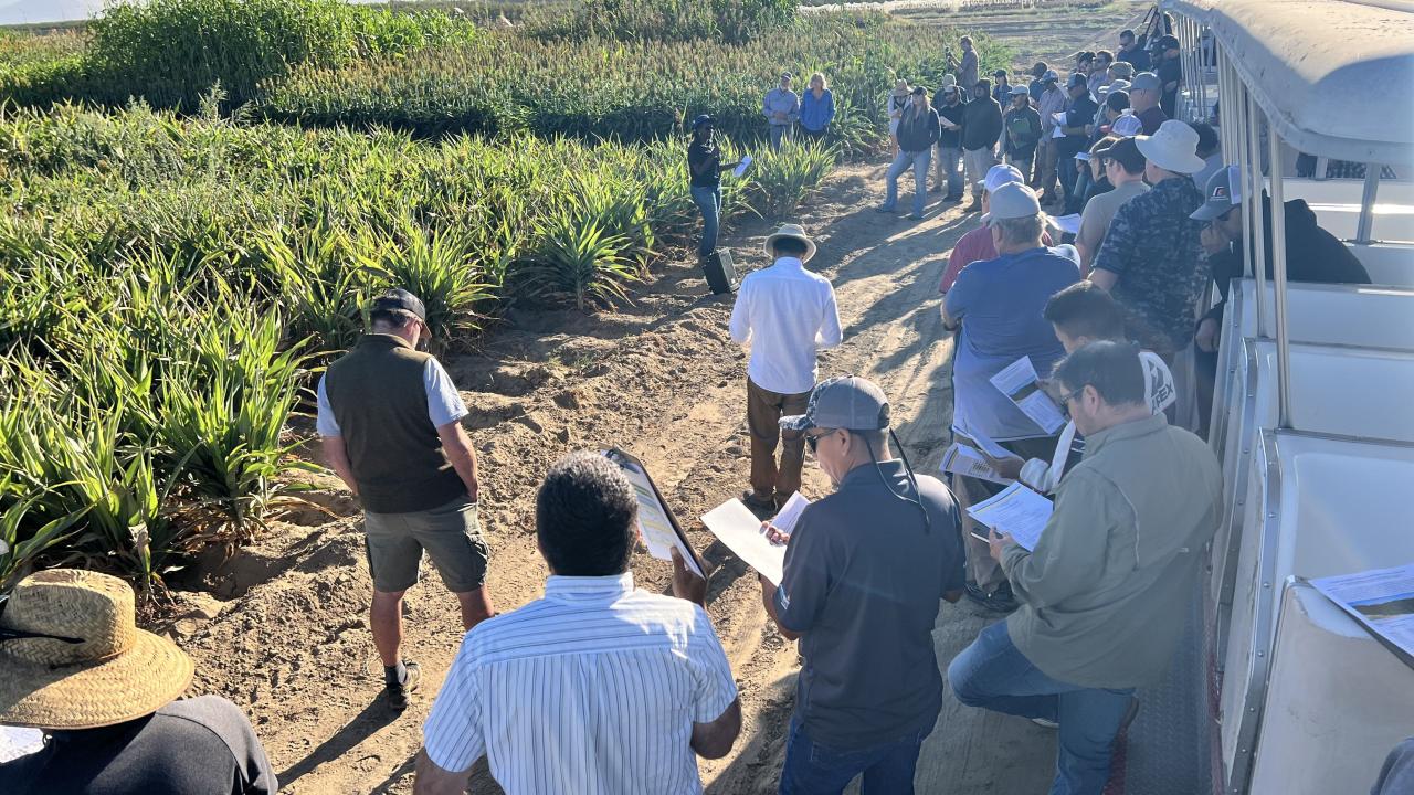 Audience members read handouts while listening to alfalfa field day presentation