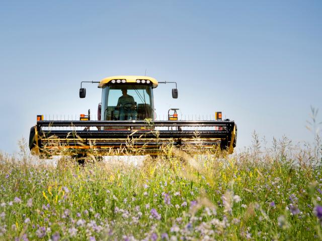 alfalfa-harvesting