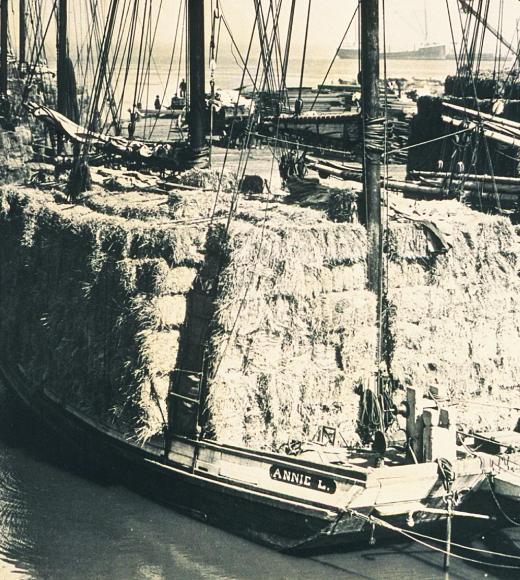 Alfalfa Docking on Ship