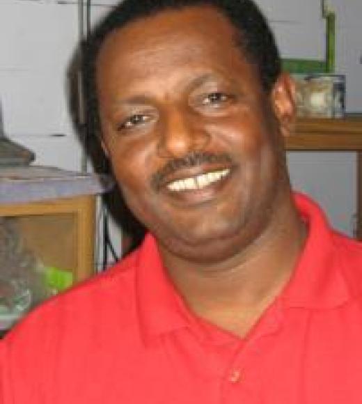 Oli Bachie